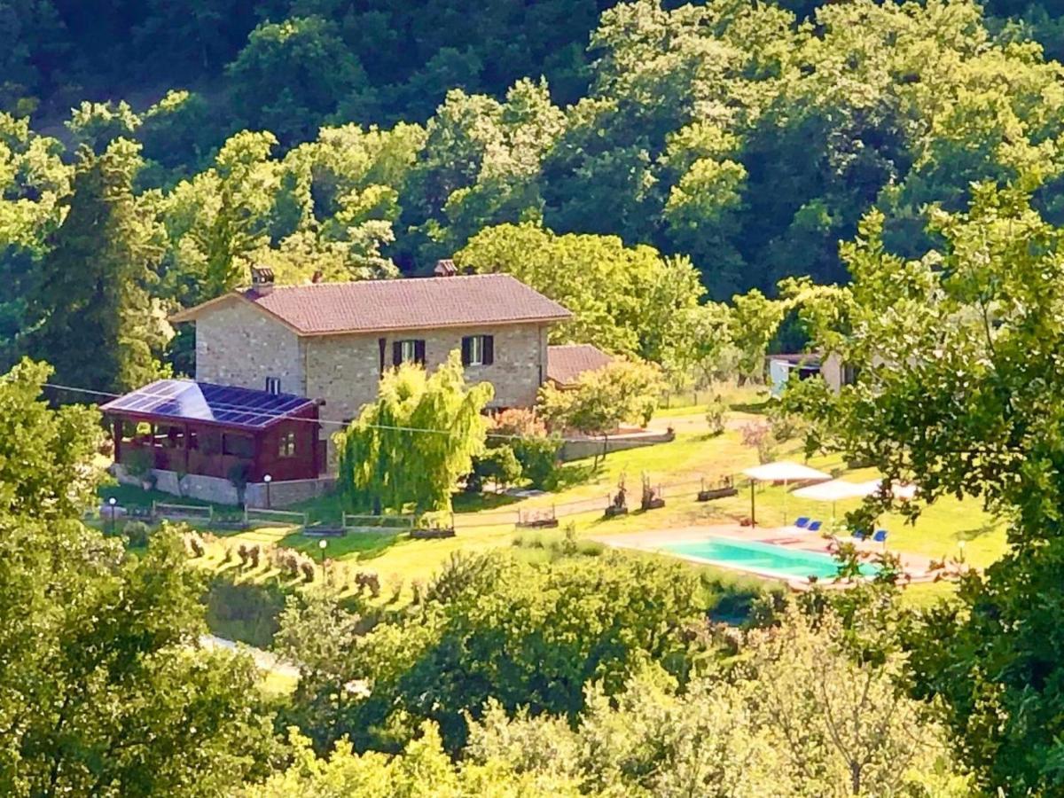 Agriturismo Vista Sole Villa Mercatale  Exterior photo
